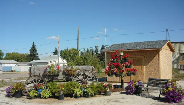 Floral display with old wagon in the park
